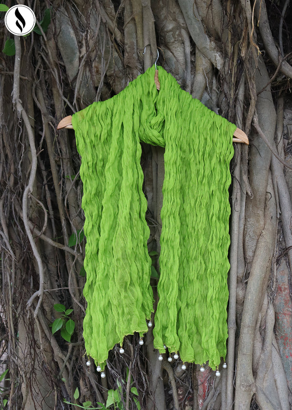 NZDC-110 Light Green Chiffon Dupatta