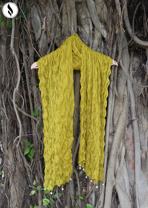 NZDC-114 Butter Yellow Chiffon Dupatta
