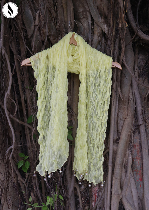 NZDC-119 Light Yellow Chiffon Dupatta