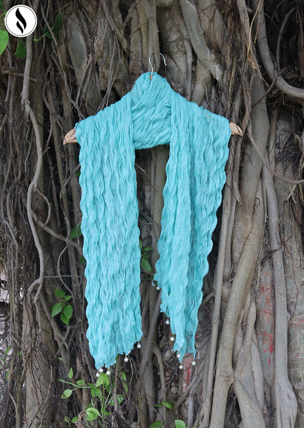 NZDC-102 Sky-Blue Chiffon Dupatta